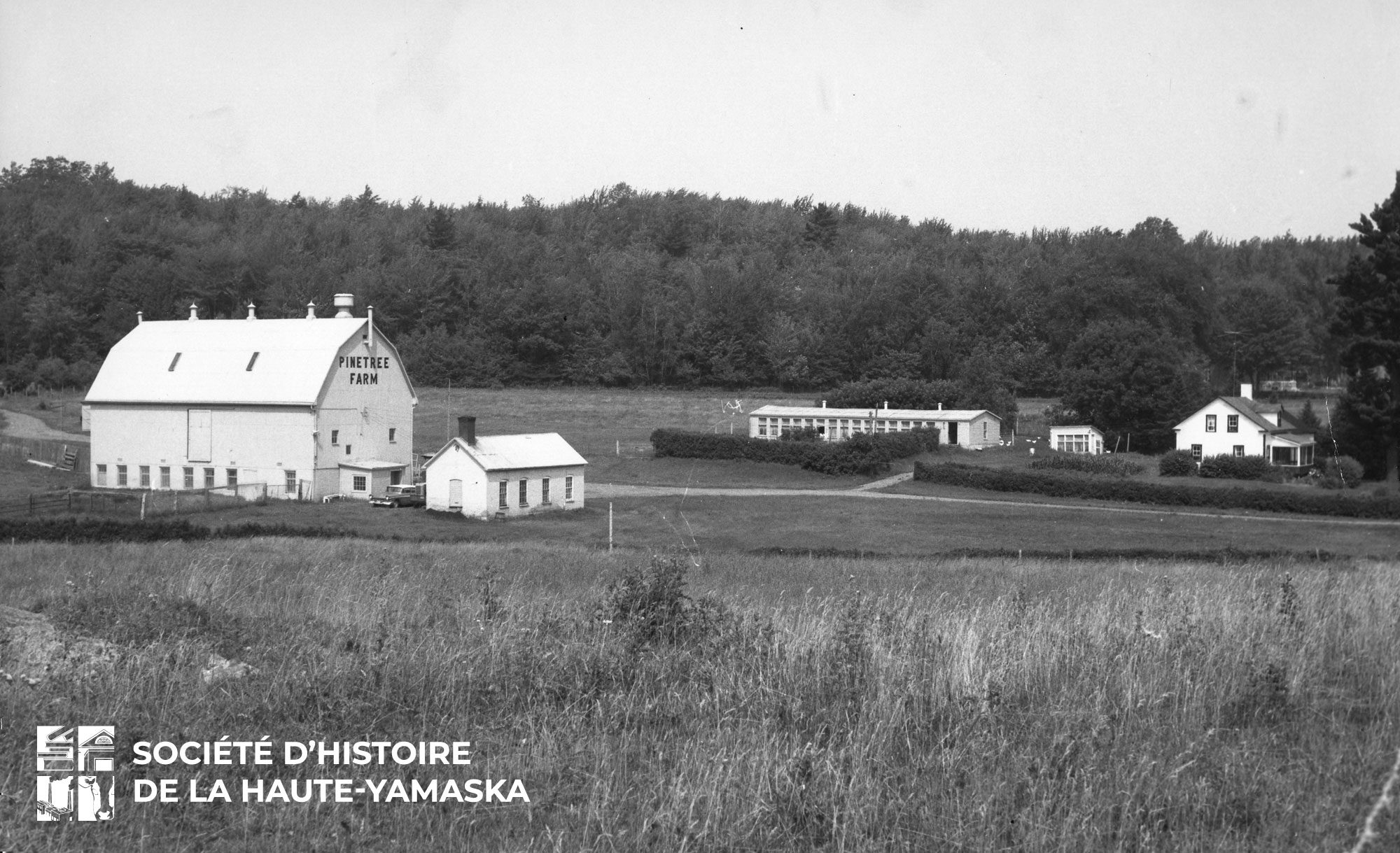 Paysage de la ferme Miner. La grange, la laiterie et la maison.