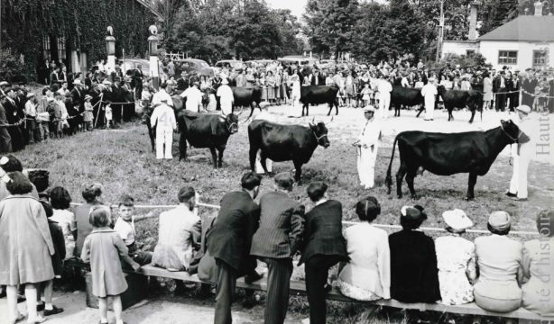 Ferme-école provinciale de Deschambeault. Pique-nique annuel des éleveurs de bovins canadiens. (Fonds Société des éleveurs de bovins canadiens, SHHY. Photo : Office provinciale de publicité, Québec, P025-S001-D001-P010)