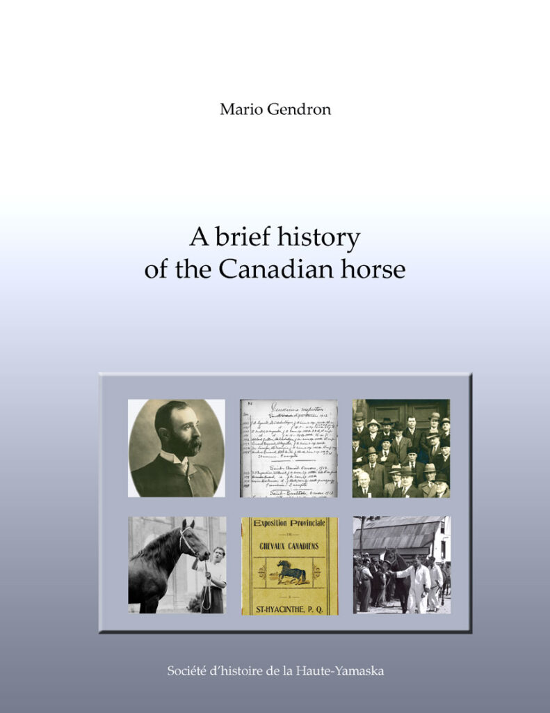 A brief history of the Canadian horse